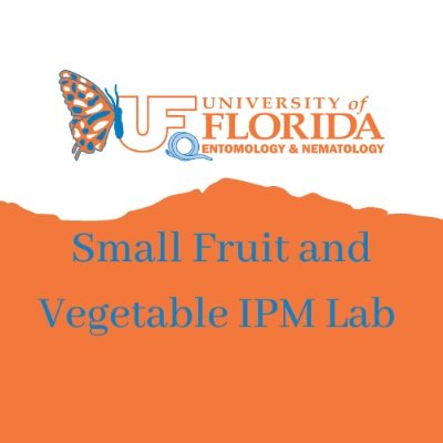 The University of Florida Fruit and Vegetable IPM Laboratory intends to provide updated IPM information and show lab activities. Tweets are by lab members.