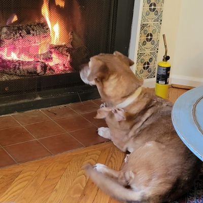 make_democracy's profile picture. How rational is it to think that a POTUS who  refuses to abide by the rules and customs of the presidency will bind himself to anything but his whims?