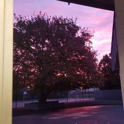 CM1CM2AServel's profile picture. Classe CM1-CM2 A
Dossard 155