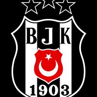 Man At Work(@BesiktasTheBest) 's Twitter Profile Photo