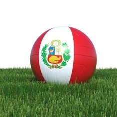 cancha_peru's profile picture. 