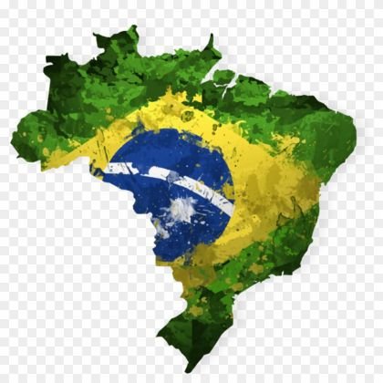 MEU PARTIDO É O BRASIL 🇧🇷