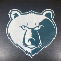 Brentwood Christian Football (@atxbcsbears) 's Twitter Profile