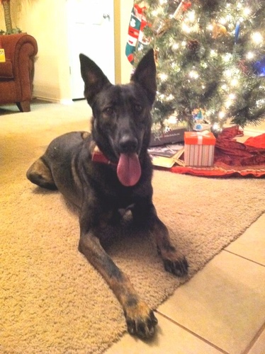 doughnut_jane's profile picture. Just a small town girl, livin' in a lonely world.