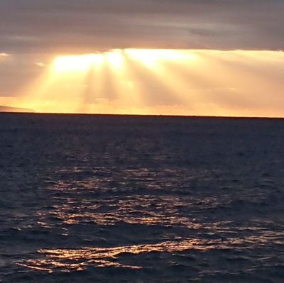 bob_mirage_frog's profile picture. 名前後ろの方が変わりました
お察しくださいませ

フォローは興味あるだけの方がほとんどです。