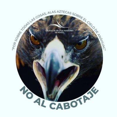 Louisinio1's profile picture. Piloto Aviador, Capitán del Boeing 787 en Aeroméxico. Agremiado en ASPA de México, colegiado en el CPAM y asociado del Club de Pilotos. Integrante del FDAN