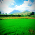 Maya Kannan (@mayakan77935936) Twitter profile photo Maya Kannan (@mayakan77935936) Twitter profile photo