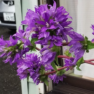 minoda3133706's profile picture. 