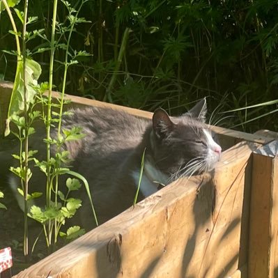 NadiBaby's profile picture. 