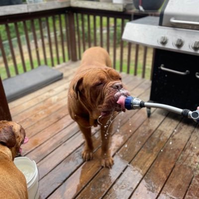 mc_arwen's profile picture. Retired.