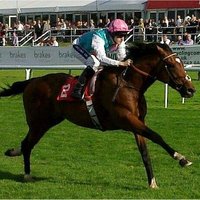 Ramon Enrique (@mrdailypicks86) 's Twitter Profile