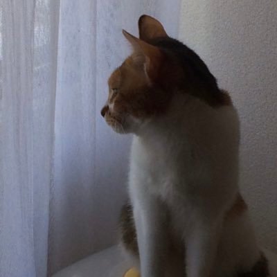 IT系会社員。余暇は高円寺(旧荻窪)グッドマンをホームに完全即興演奏デュオ「イノスボクス」にてTp.とシンセを担当(with A.Sax.)。尺八、句会(10年超)、囲碁(OGS18級前後)。2023年2月第一子誕生。