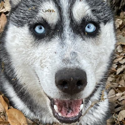 LauraSwinney4's profile picture. 