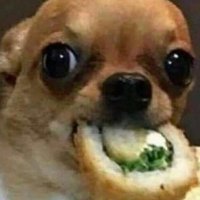 Ξα΄Ιπ£Γ©π¬ γ (@andrew341_) 's Twitter Profile