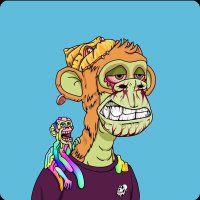 islammmmwm (@jw065065) 's Twitter Profile