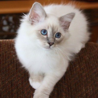 JustinC67782386's profile picture. Board certified emergency physician