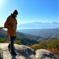 つるる (@tsururu_wolf) 's Twitter Profile