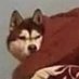 totallynotjtd (@totallynotjtd) Twitter profile photo totallynotjtd (@totallynotjtd) Twitter profile photo