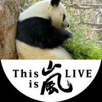 usahana1103 (@usahana1103) 's Twitter Profile Photo usahana1103 (@usahana1103) 's Twitter Profile Photo