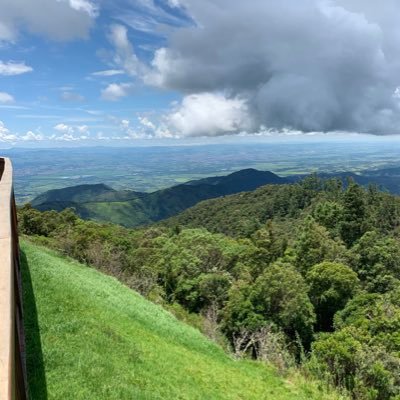 CurrachoE's profile picture. Torcedor do Tricolaço