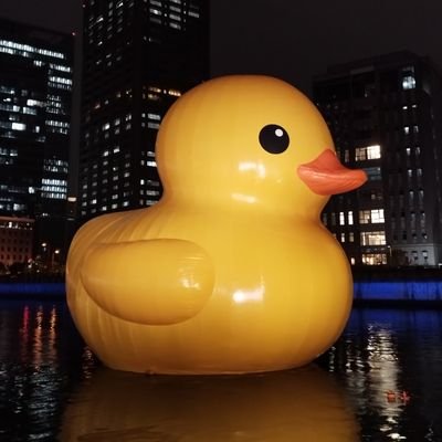 ken5okamoto's profile picture. 自分以上でもなく、自分以下でもなく、自分らしく過ごしたいです。　ゴルフが趣味、可愛い愛犬と暮らしています。ラーメン好きです。
【大阪】#映画