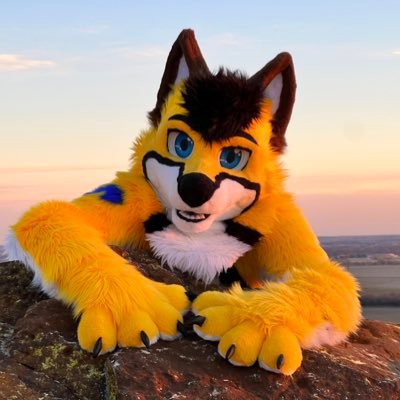 level 23 dumb yellow dog who enjoys pool toys and cars. (AD @zale__husky_ad 🔞) 🪡@firewolfstudio1 suiter