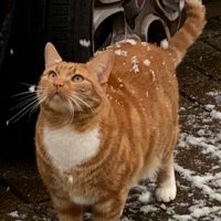 Richard Mead ππΊπ¦ (@1richardmead) 's Twitter Profile