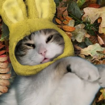pixelsoupさんのプロフィール画像