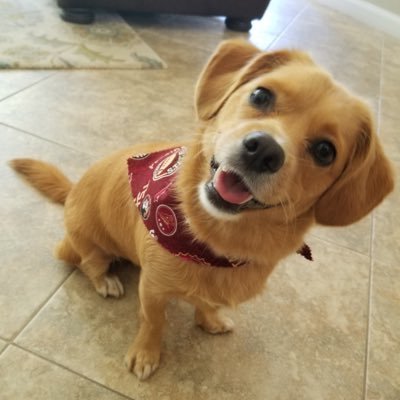 reesespieces401's profile picture. 