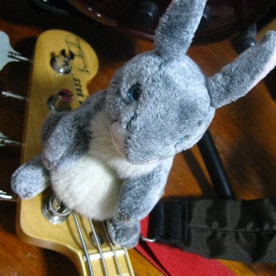 Usagi_Rabbit_P Profile Picture