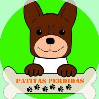 Patitas Perdidas - Lima (@patitas_lima) 's Twitter Profile Photo Patitas Perdidas - Lima (@patitas_lima) 's Twitter Profile Photo