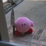 1LocalTherapist's profile picture. mentally unstable... FEAR MEEE
                                         Do not try this at home