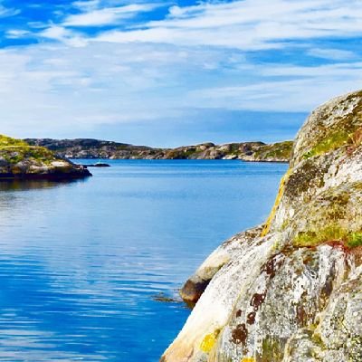 kld16815676's profile picture. 