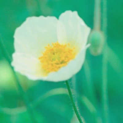 主に2次元関連のお取引関連のツイートが中心※成人済み ※ツイフィあり ◆ うたプリ/ドラマト.スタマイ/BLEACH