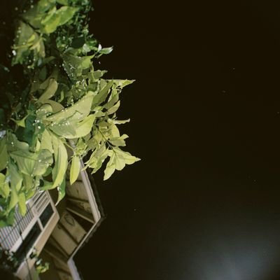 micinpasta's profile picture. ga gimana gimana yang penting begini