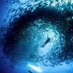 Ocean Life Union (@oceanlifeunion) Twitter profile photo Ocean Life Union (@oceanlifeunion) Twitter profile photo