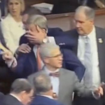 pickylife's profile picture. 