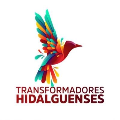 Somos una organización ciudadana plural, responsablemente comprometida con las y los Hidalguenses