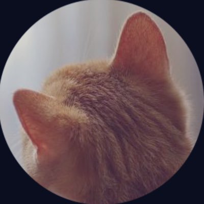 81ixou's profile picture. ゆったりマイペース🐈 無言フォロー失礼します◡̈♩