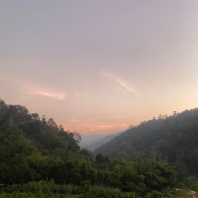 bbettlyxx's profile picture. bett ; มนุษย์ล่าปีก  | 🤍marcellasne