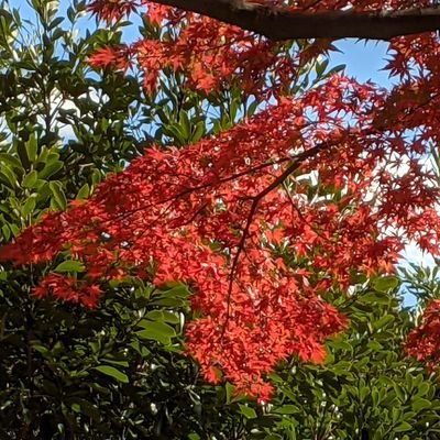 0gWpfAvmAjSpw8u's profile picture. 写真と旅と推し活