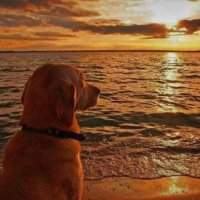 ΘΕΟΣ ΒΑΣΙΛΗΣ (@vasilis2406) 's Twitter Profile Photo ΘΕΟΣ ΒΑΣΙΛΗΣ (@vasilis2406) 's Twitter Profile Photo