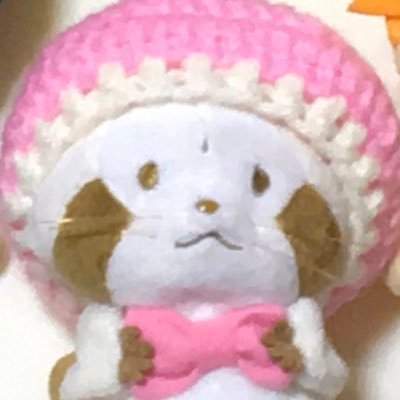 30↑社会人。好きなことを好きなだけ。ぬいとおまんじゅうとどーるが大好き。プチラスカル*ちいかわ*Trickstar*御影玲王*UNISON SQUARE GARDEN*セキセイインコ(大好きなので♡押しまくります すみません🙇♀️)