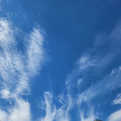 MadyunLeonora's profile picture. This is not financial advice, this is $GARBAGE. Follow @buygarbage for details coming soon 🚀