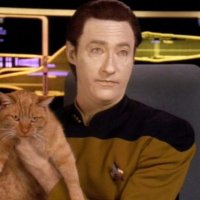 Tridecalogism (@7hetardis) 's Twitter Profile