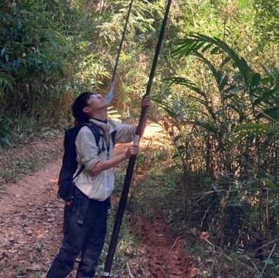 yoneoka1915hap's profile picture. I am a post doctor of Nantional Institute of Genetics, Japan. Research topic is adaptive evolutinon of ferns and lycophytes🇯🇵