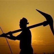 firstfarmeer's profile picture. Farmer's first