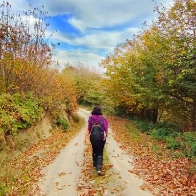 mmerveyararr's profile picture. But they dont know that we know they know we know
