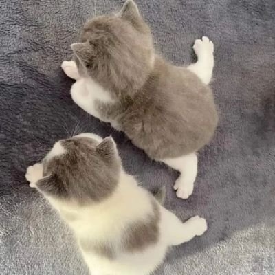 MaryGraceBata2's profile picture. 💐