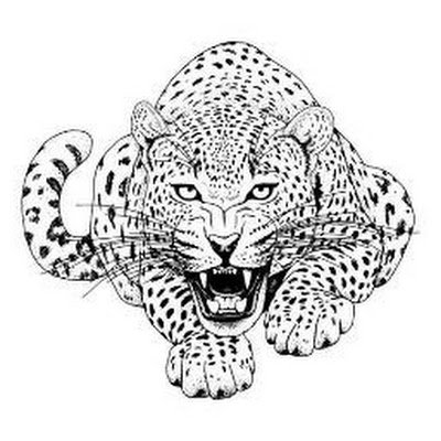 lioman3310's profile picture. 